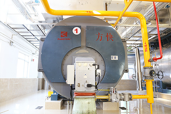 利民制藥有限公司4噸一體燃氣蒸汽鍋爐案例