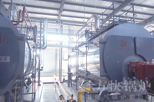 農(nóng)牧行業(yè)燃油氣蒸汽鍋爐案例 農(nóng)牧行業(yè)燃油氣蒸汽鍋爐案例